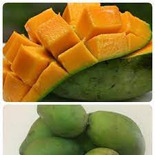 Beli mangga harum manis online berkualitas dengan harga murah terbaru 2021 di tokopedia! Harum Manis Perlis 1kg Shopee Malaysia