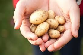May 05, 2020 · on that somber note: 5 Things You Can Clean With Potatoes