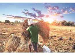 Image result for images of indian farmers