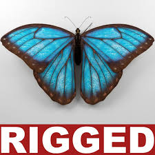 3d Model Of Blue Morpho Butterfly Rigged Blue Morpho Butterfly Morpho Butterfly Blue Morpho