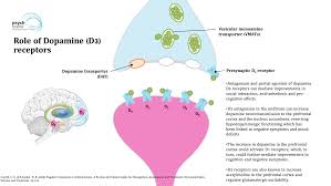 Major symptoms include hallucinations (typically hearing voices), delusions. Negative Symptoms In Schizophrenia Diagnosis And Management