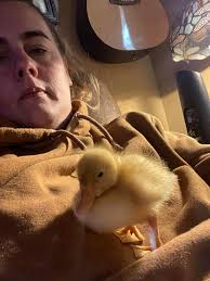 I guess you are never alone with a duck.