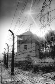 Campos De Concentração Da Segunda Guerra Mundial Pin Em Campos De Concentracao Campos De Exterminio