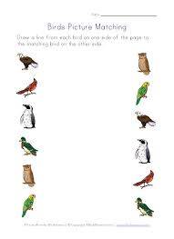 Match The Birds With Their Nests Birds Themed Worksheets For Kids Preschool Theme Activities Learning French For Kids Hibernating Animals Preschool