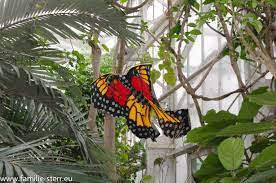 Botanischer garten münchen nymphenburg tropische schmetterlinge sonderausstellung. Schmetterlingsausstellung Im Botanischen Garten Munchen Feb 2013 Familie Sterr