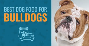 Looking for best puppy food for english bulldogs? Best Dog Food For Bulldogs Top 4 Picks In 2021 Animalso