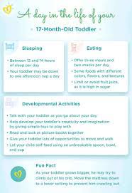 17 Month Old Development Milestones Pampers