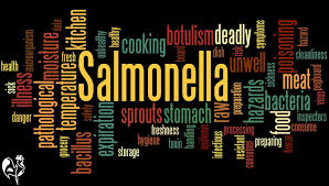 Outdoor kitchen islands backyard chickens salmonella symptoms. Salmonella And Chicken Keeping The Facts