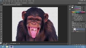 Choose the magic wand tool from the toolbar and click on the white background of your logo file. How To Change Background From Transparent To White In Photoshop Cs6 Youtube