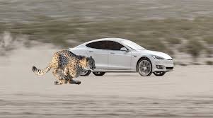 Jake Zrychleni Ma Model S Po Nove Aktualizaci Teslaczech Com