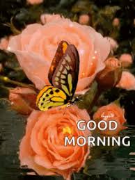Good morning images with beautiful flowers. Morning Flowers Gifs Tenor