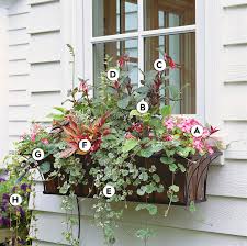 Flower framer ultimate boxes have proven to be one of the most popular, versatile window boxes on the market. 16 Easy Shade Window Box Ideas Better Homes Gardens
