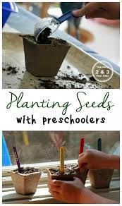 After allowing the glue to dry a little, i placed their paper towels in the plastic containers. How To Plant Seeds For An Easy Kids Gardening Activity