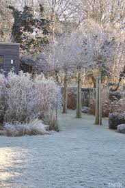 Dieartigeblog Wintergarten Rauhreif Eiskristalle Chinaschilf Platanen Hortensien Garten Gartengestaltung Garten Ideen