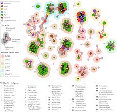 I asked for olives and mushrooms on mine and my classmates each had something different so we could taste a piece of each person's meal. Evolution And Ecology Of Plant Viruses Nature Reviews Microbiology