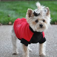 Highline Fleece Dog Coat By Doggie Design Red And Black