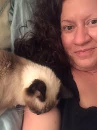 Humorous Comparison of Mercury and Cat Behavior