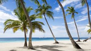 Or download this beach scene windows screensaver for all laptops and pc computers using microsoft windows 10. Beaches Island Wallpapers In Hd 4k Resolution Download Free