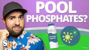 Www.mastertouchpools.com the maximum level of phosphate in pool water should be 0.1 ppm. The Truth About Phosphates In Pool Water