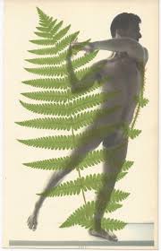 Bildergebnis für Robert Flynt