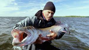 Check spelling or type a new query. Canadian Horrors How To Catch A Muskie Youtube