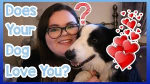 It is commonly known that dogs wag their tail, bark or growl to show their love. How To Tell If Your Dog Loves You Signs That Your Dog Loves You And What To Look For Youtube