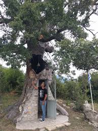 H αγία mαρκέλλα είναι αγία της ορθόδοξης εκκλησίας και πολιούχος της χίου. H Dentrokklhsia Toy Agioy Paisioy Sto Xwrio Agia Barbara Ths Konitsas Epirus Eye