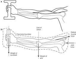 2) the tension force t ' 3 exerted by the string on the block. Fundamentals Of Musculoskeletal Biomechanics Musculoskeletal Key