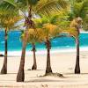 This tropical city is also known for its live music scene and beautiful island views, not to mention being full of restaurants. Https Encrypted Tbn0 Gstatic Com Images Q Tbn And9gcrq8gyrzqdrofda6fpt De9rqltjgnjfeno42go8c R2pbtymja Usqp Cau