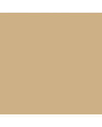 Image result for Pawnee Tan 1991 Bronco