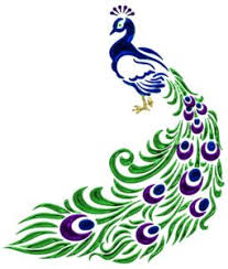 Please like, comment, and share. 50 Best Peacock Drawings Realistic Easy Simple Color
