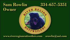 Newest oldest price ascending price descending relevance. Mississippi Rottweiler Puppies Home Facebook