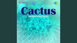 What should do now ? Chords For Shudhu Tumi Ele Na