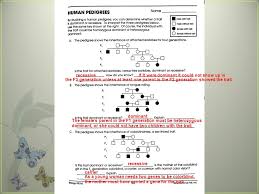 Pedigree and punnett square practice answer key. 7 Human Heredity Definitions Male Female Karyotypes These Pictures Tell Us Two Types Of Info 1 If We Have The Correct Of Chromosomes 2 Gender Ppt Download