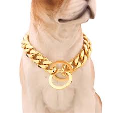 8 29 Gbp 12 34 Stainless Steel Pet Dog Chain Gold Curb Link Chain Chunky Necklace Ebay Home Garden Buyuk Kopekler
