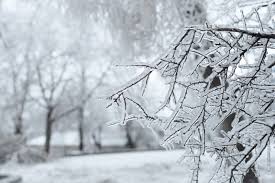 weather tomorrow