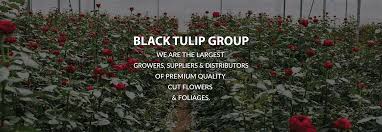 Maybe you would like to learn more about one of these? Black Tulip Group Home Facebook