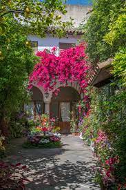 Maybe you would like to learn more about one of these? Patios De Cordoba 100 Anos De Fiesta Y Flores