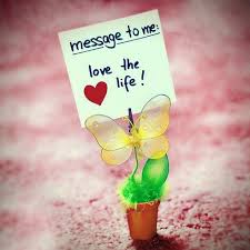 Cute Quotes About Happiness And Love Master Trick Happiness is a state of mind and people who achieve it do not have the best of everything but they make the best of everything that they have.