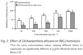 Image result for Dichaetanthera