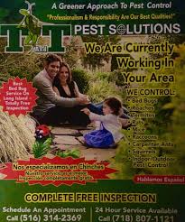 Rapid pest control is one of the leading day & night pest control services in singapore & long island that among hordes of pest control management companies in singapore, rapid pest control pte ltd 24/7 availability. T And T Pest Solutions Accueil Facebook