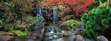 What Makes Japanese Gardens Unique Anderson Japanese Gardens Japanese Garden Japanese Garden Style Unique Gardens