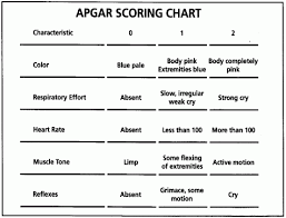 Apgar Scoring Guide Related Keywords Suggestions Apgar
