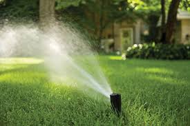 Eldrick tont tiger woods (born december 30, 1975) is an american professional golfer.he is tied for first in pga tour wins, ranks second in men's major championships, and holds numerous golf records. Rain Bird Heavy Duty Gear Drive Rotor Sprinkler At Menards