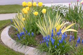 We did not find results for: Elaine Cerny My Garden Path April Showers Will Bring May Flowers Coeur D Alene Press