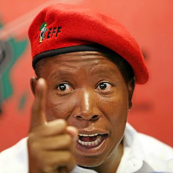 Equality Court finds Julius Malema's 2022 remarks were hate speech: what the judgment says and why it matters - Mayet & Associates