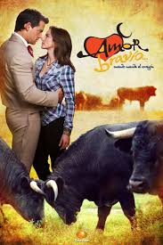 Amor Bravio Con Silvia Navarro Y Flavio Medina Novelas Amor Imagens Romanticas