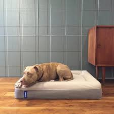Memory foam dog beds are not just for large dogs. Casper Dog Mattress Large Dog Mattress Elevated Dog Bed Dog Mattresses