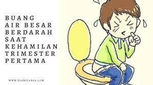 Kebanyakan orang yang baru pertama kali mengalami busng sir besar berdarah pastinya akan bertanya tanya mengenai penyebab dan cara mengobatinya. Buang Air Besar Berdarah Saat Kehamilan Trimester Pertama Untold Story
