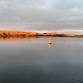 Swim at Sleekburn Water event image